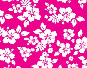 hibiscus-flower-background-1485007724aCe