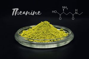 Theanine-amino-acid_1024x