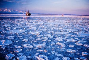 Arctic-Oil-platforms-offsohre